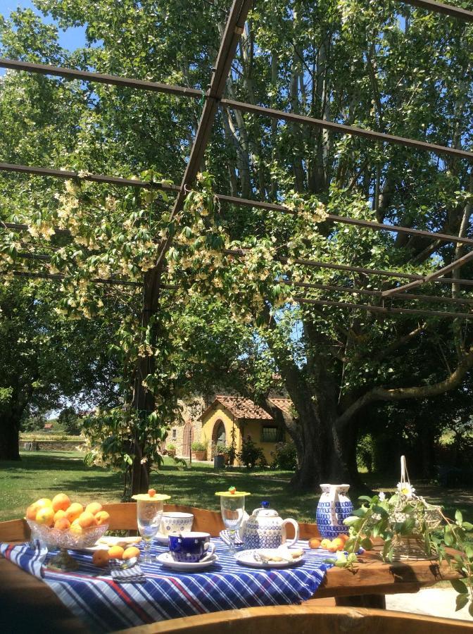 Villa Podere Il Giardino 卡斯蒂里昂·菲奥伦蒂 外观 照片